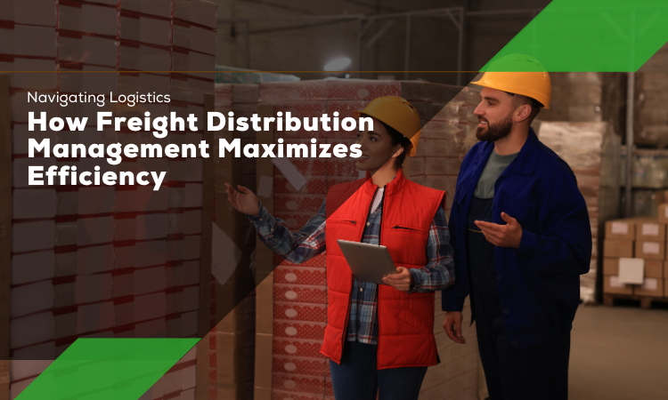 How Freight Distribution Management Maximizes Efficiency
