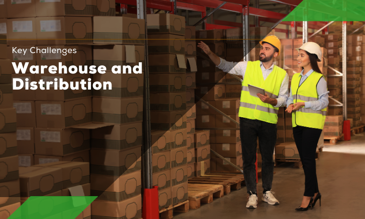 Challenges in Warehouse and Distribution Management