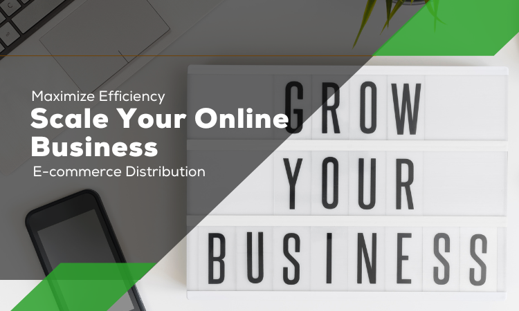 Maximize Efficiency and Scale Your Online Business
