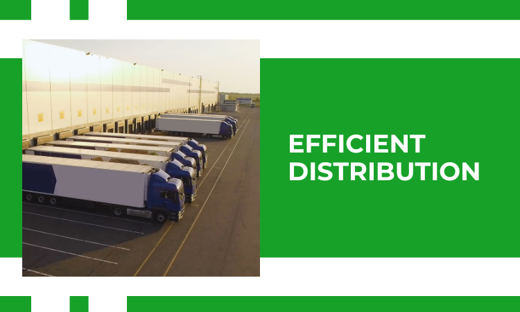 Image of cargo trucks for efficient distribution of freight for economic growth